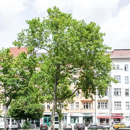 Dr Prenzlauer Berg Berlin