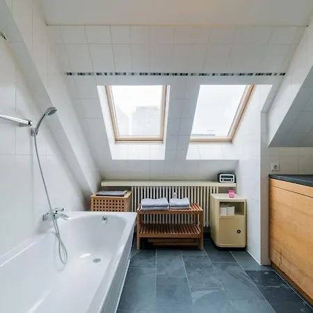 Ruhige Dachwohnung Mit Terrasse Mitte - Spacious Modern Rooftop Loft In Mitte Berlin