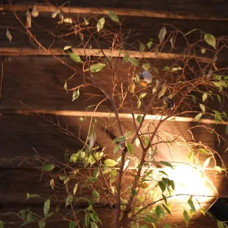 Einzigartiges 140qm Loft - Party Ist Erlaubt! ברלין