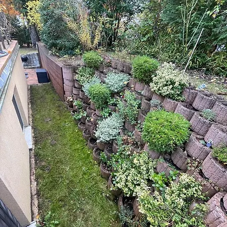 Apartament Rogge *