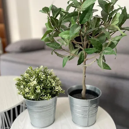 City Apartment Berlin * ברלין
