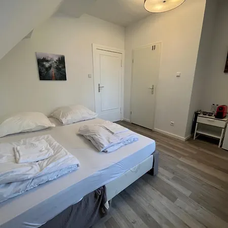 Bed & Breakfast King David Garden *