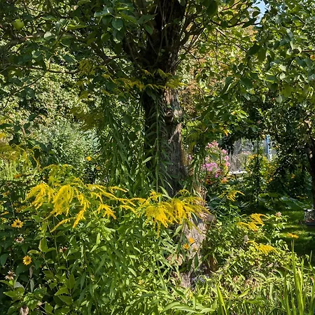 Im Idyllischen Garten Holiday park Berlin