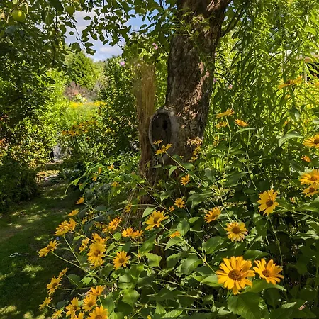 Holiday park Im Idyllischen Garten