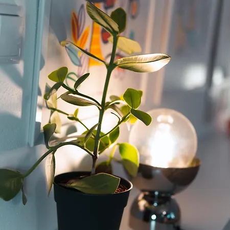 27 Apartment
