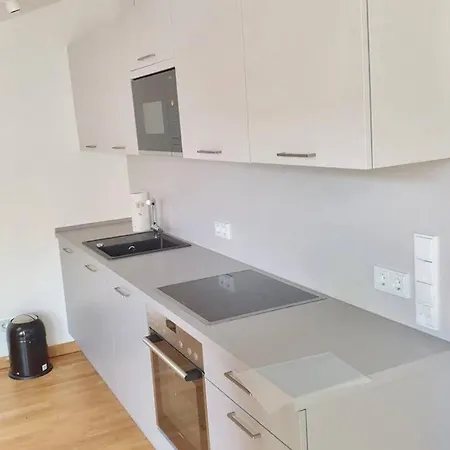 Eiswerder - Inselwohnung In Der Havel Mit Balkon Tatil Evi