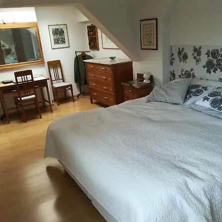 Daire Ansbacher Unterm Dach Penthouse *