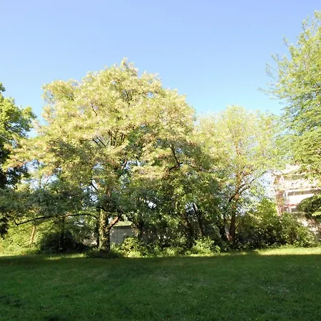 Daire Habitat