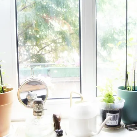 Minimal In A Family Guest house