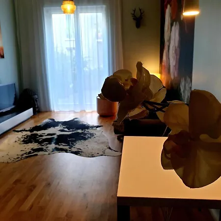 P1 In Berlin-friedrichshain Appartement