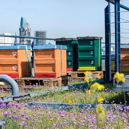 Scandic Kurfuerstendamm 4* Berlin