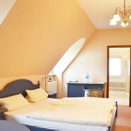 Guest house Alt-karow 3*