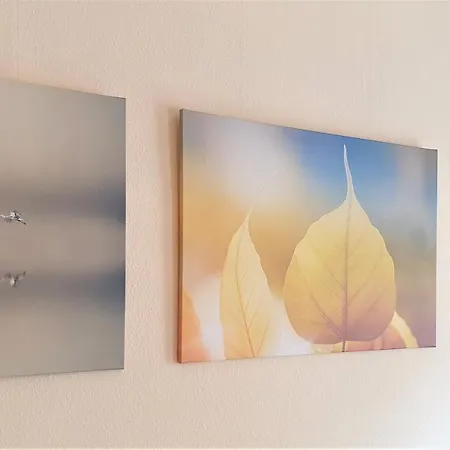 Melarose Feng Shui Отель 3*