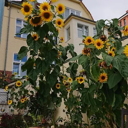 Homestay Ferienwohnung Dahme *