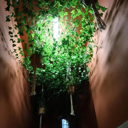 Apartment 61