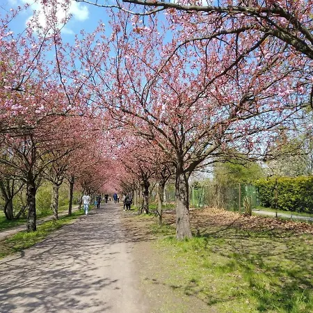 Quiet In Prenzlauer Berg Near Mauerpark * Berlin