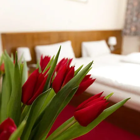 Hotel Spreewitz Am Kurfuerstendamm 3*