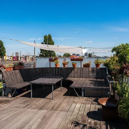 Apartment Rooftop Terrace Oasis