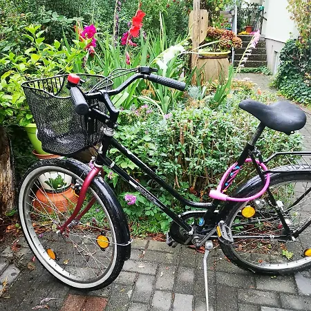 Zum Saegebock Homestay