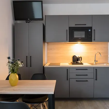 Homaris Boxi