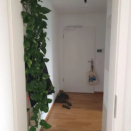 Apartment Cozy Flat In Mitte. Berlin