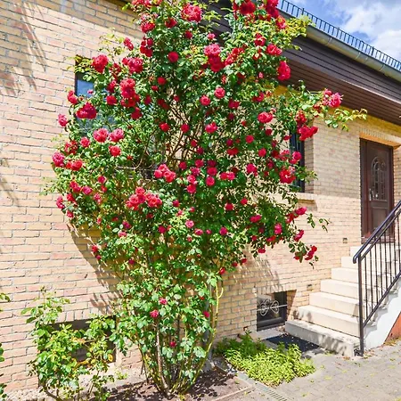 Stunning In Berlin-bohnsdorf * Berlin