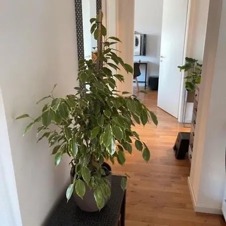 Friedrichshain Apartment Berlin