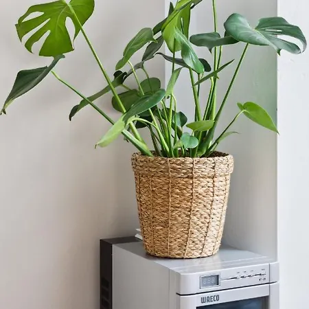 Arbio I 1a & Prenzlauerberg Apartment