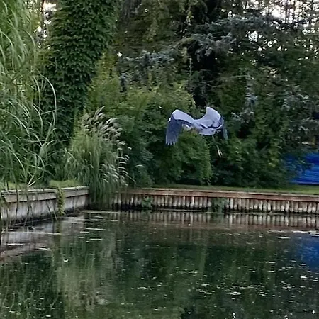 Holzhaus Mit Direktem Wasserzugang In Berlin-koepenick * Berlin