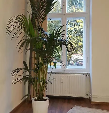 Apartment Fidelis 24