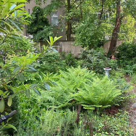 Zentral Gelegen - Stilvolles In Moabit *