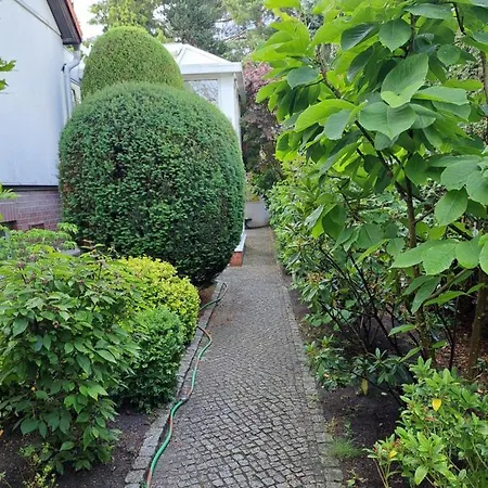 Kastanienallee Rosenthal Berlin