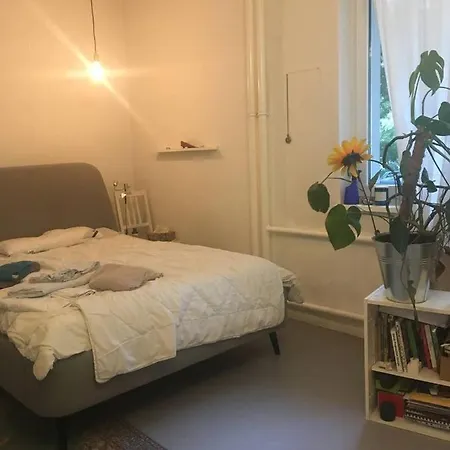 Solmate-shack * Berlin