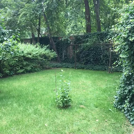 Solmate-shack Berlin