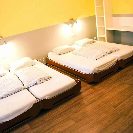 Sunflower Hostel