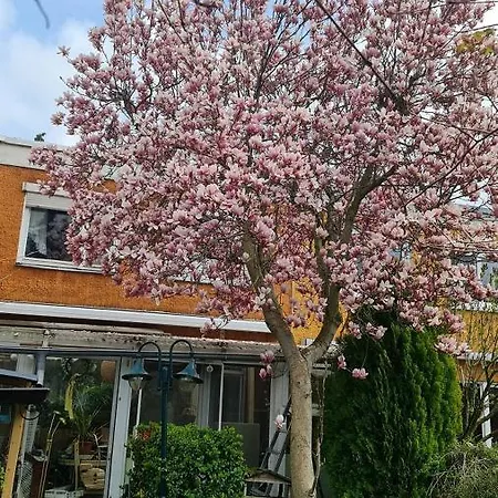 Mit Optimaler Verkehrsanbindung Und Vielen Extras In Berlin-rudow Homestay