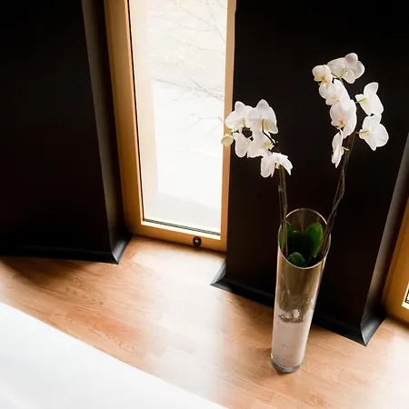 Hotell Axel - Adults Only 4*