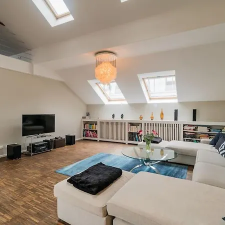 Ruhige Dachwohnung Mit Terrasse Mitte - Spacious Modern Rooftop Loft In Mitte Apartment