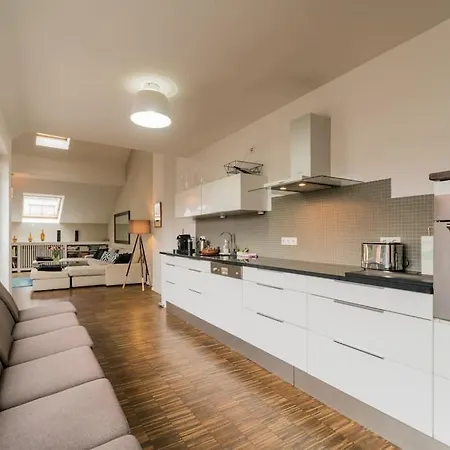 Ruhige Dachwohnung Mit Terrasse Mitte - Spacious Modern Rooftop Loft In Mitte Apartment