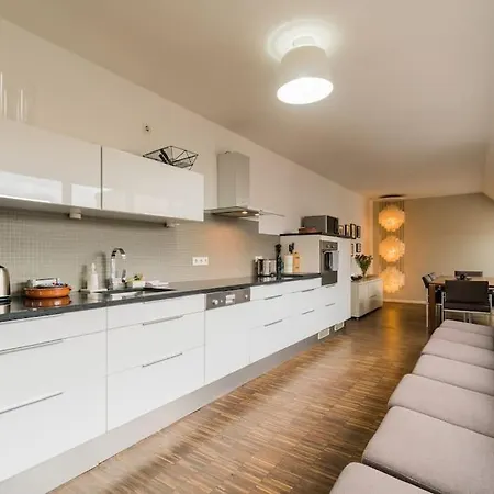 Ruhige Dachwohnung Mit Terrasse Mitte - Spacious Modern Rooftop Loft In Mitte Apartment *