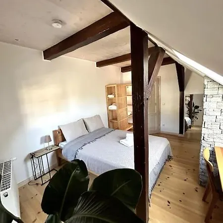 Loft In Historischer Schmiede Apartment *