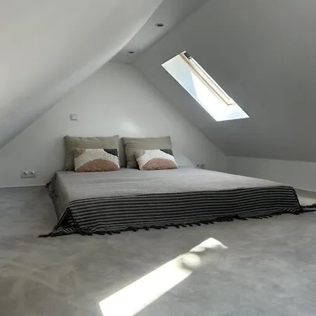Apartment Loft In Historischer Schmiede *