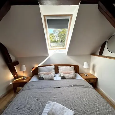 Loft In Historischer Schmiede Apartment *