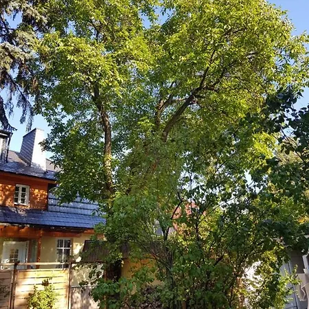 Town-villa, Apartment, Living With Big Sofa Bed , 2 Bedroom, 1kitchen, 1bathroom, 1 Office, 1 Garden Berlin