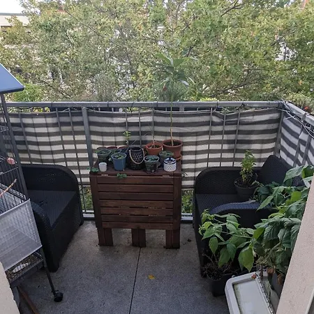 Cosy Flat In Berlin's Trendy Area Apartment