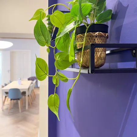 Dilo Apartment *
