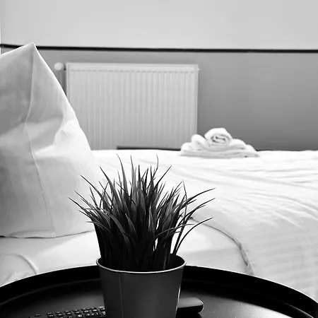 Hotel Alex *