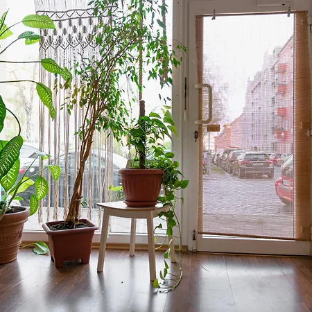 Boutique Altbau Apartment