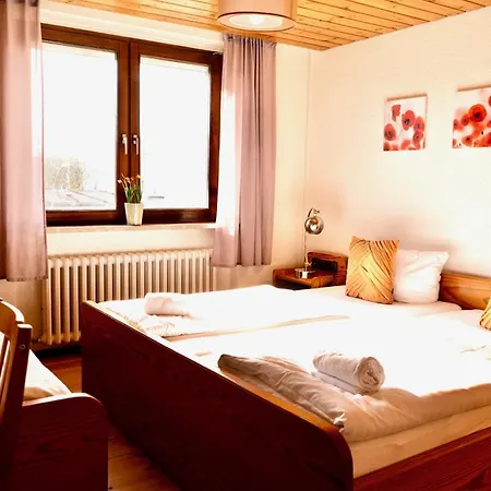 Hotel Nest 2*