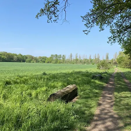 Ferien Am Berliner Mauerweg Holiday home